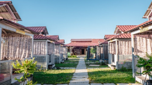Алмас Бриллиант
