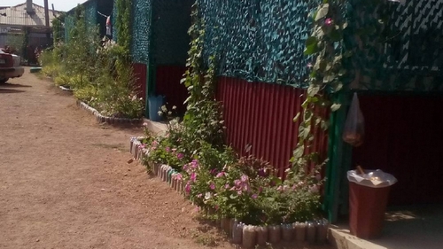 Зона отдыха "Андромеда"